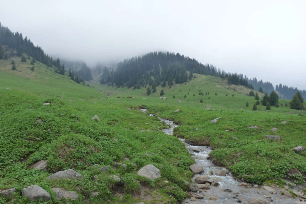 Kok Želau, Almaty, Kazachstán