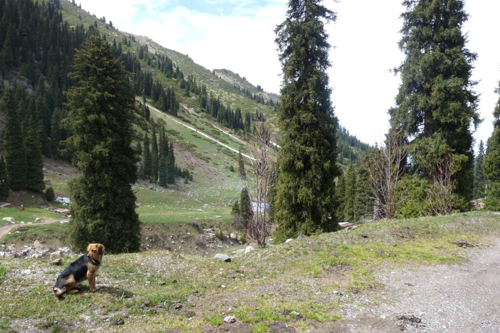 Čimbulak, Almaty, Kazachstán