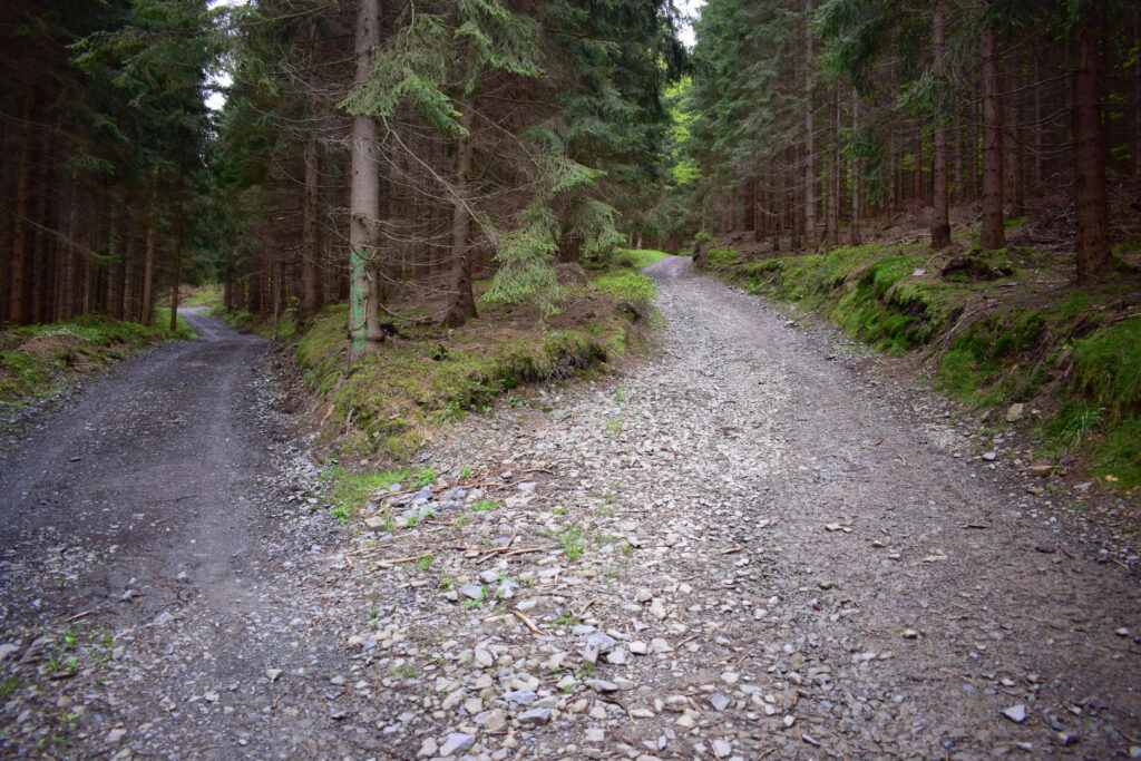 Na Bílý kříž z Bebku