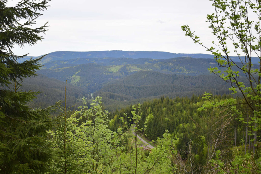 Slavíč, Moravskoslezské Beskydy