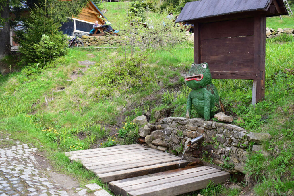 Pramen Černé Ostravice na Bílém kříži