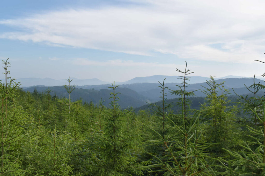 Výhled na Moravskoslezské Beskydy a Vsetínské vrchy