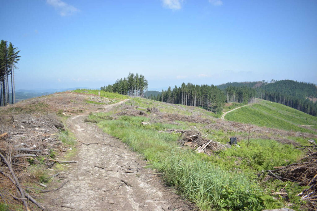 Vsetínské vrchy, hřebenovka, výhledy