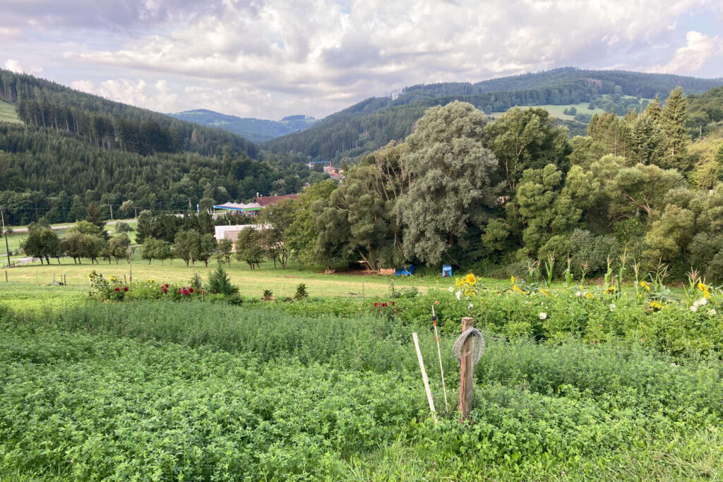 Starý Hrozenkov, Kopanice