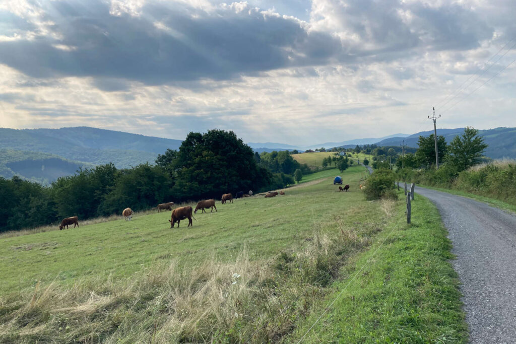 Žítková, Bílé Karpaty, Kopanice