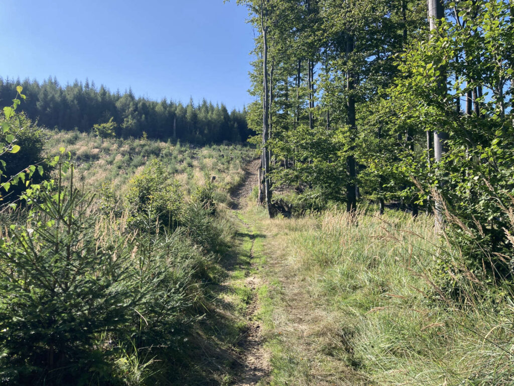 Pod Humencem, Hostýnské vrchy