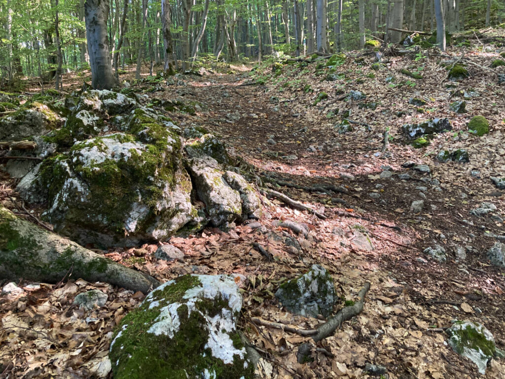 Přírodní rezervace Vršatská Bradla