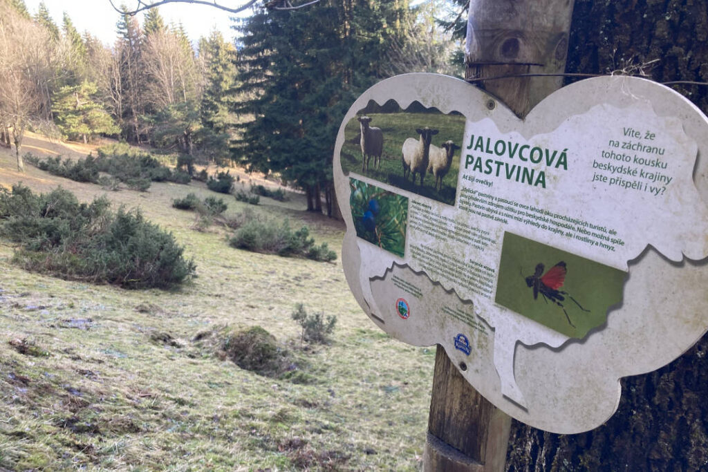 Jalovcová pastvina, Velké Karlovice