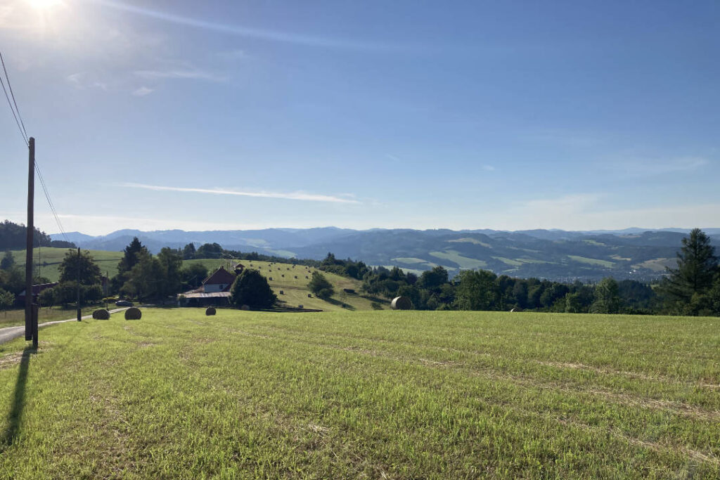 Rozhledna u Holáňů, Prženské paseky