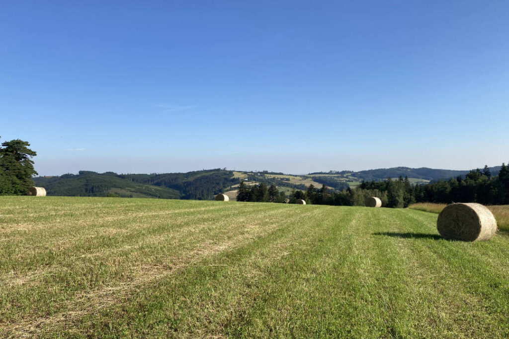 Výhled na Čarabovskou, Prženské paseky