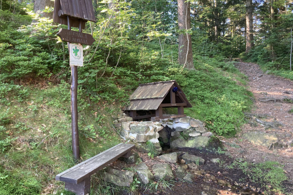 Studánka Kladnatá, Beskydy