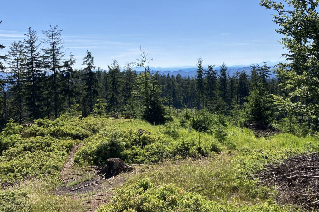 Trojačka, Beskydy, výhled na Malou Fatru