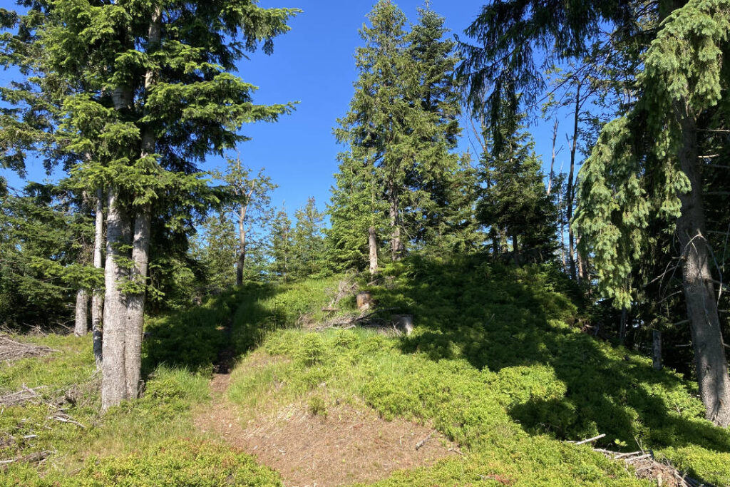 Trojačka, Beskydy, vrchol