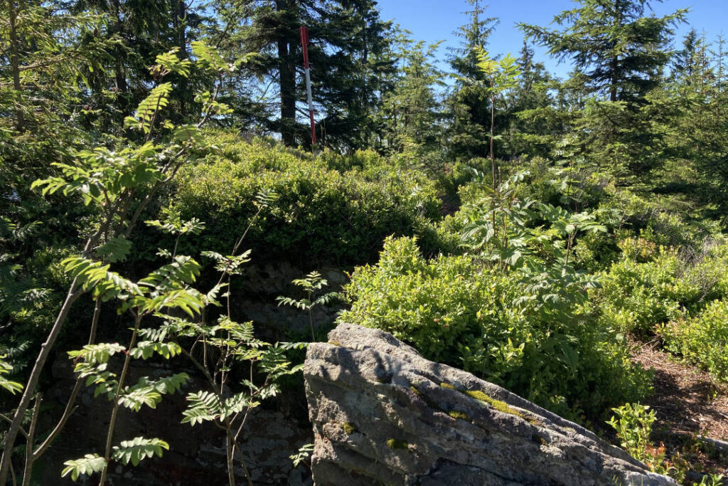 Trojačka, Beskydy, skála