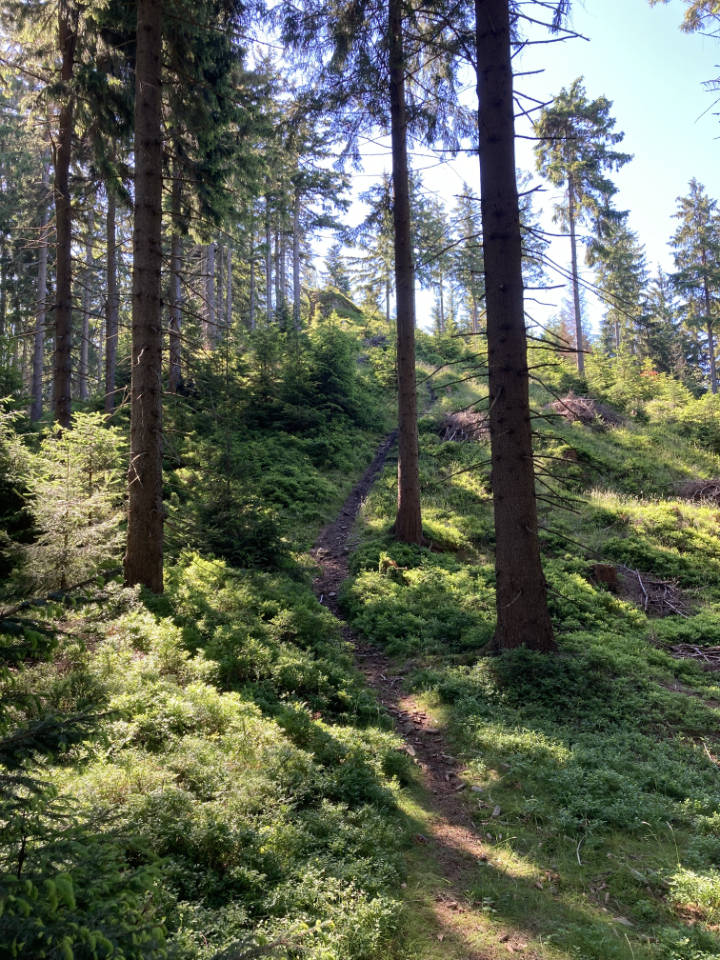 Pod Trojačkou, Beskydy