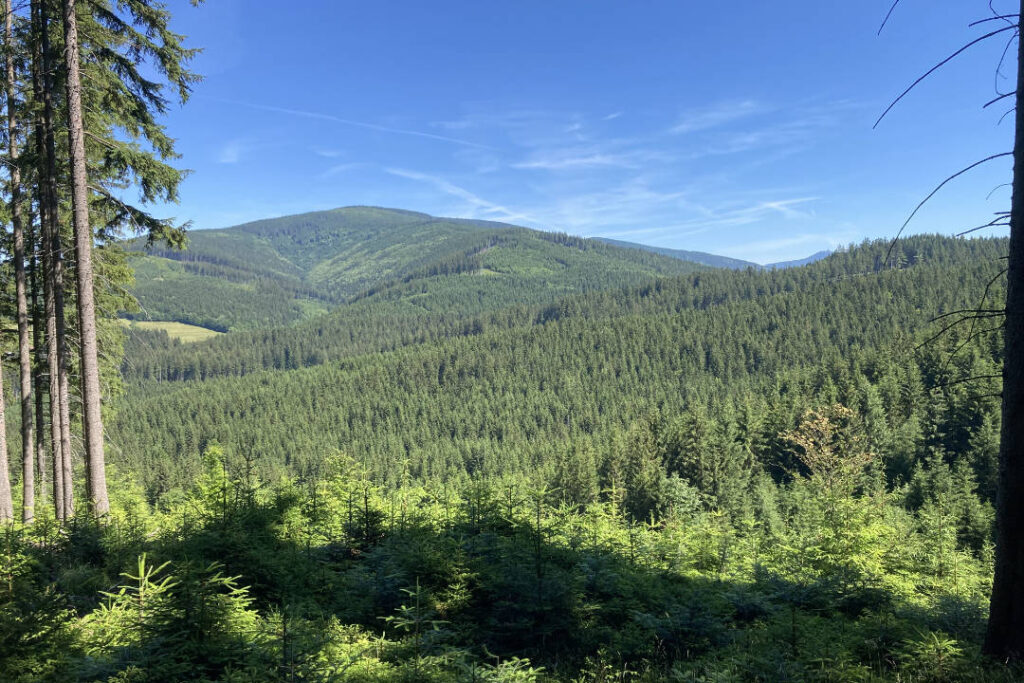 Výhled na Smrk, Lysá hora