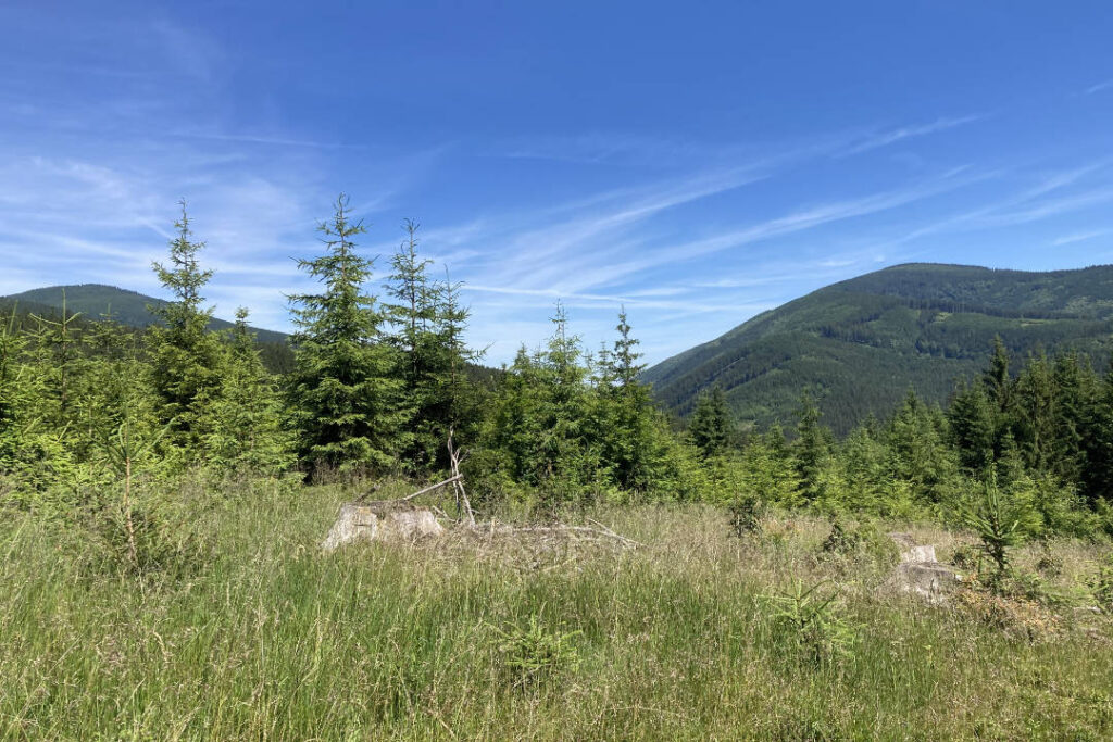 Výhled na Kněhyni, Smrk, Kociánka