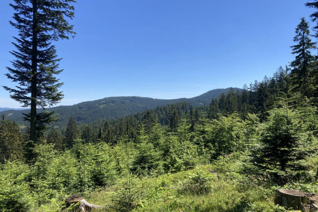 Trojačka, Beskydy, výhled z Mečového