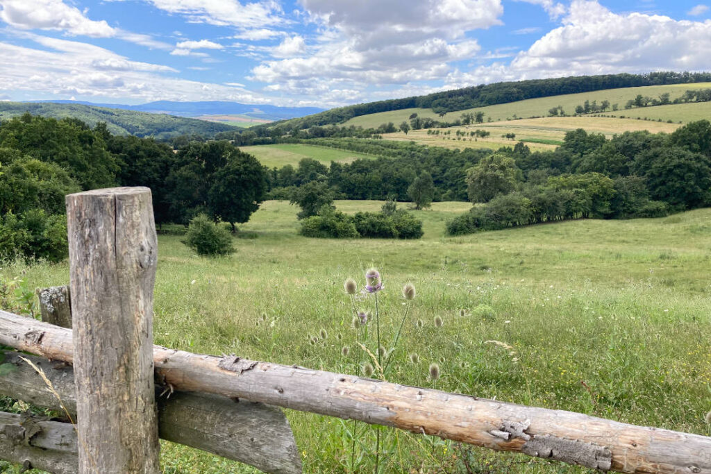 Pastviny nad Polichnem