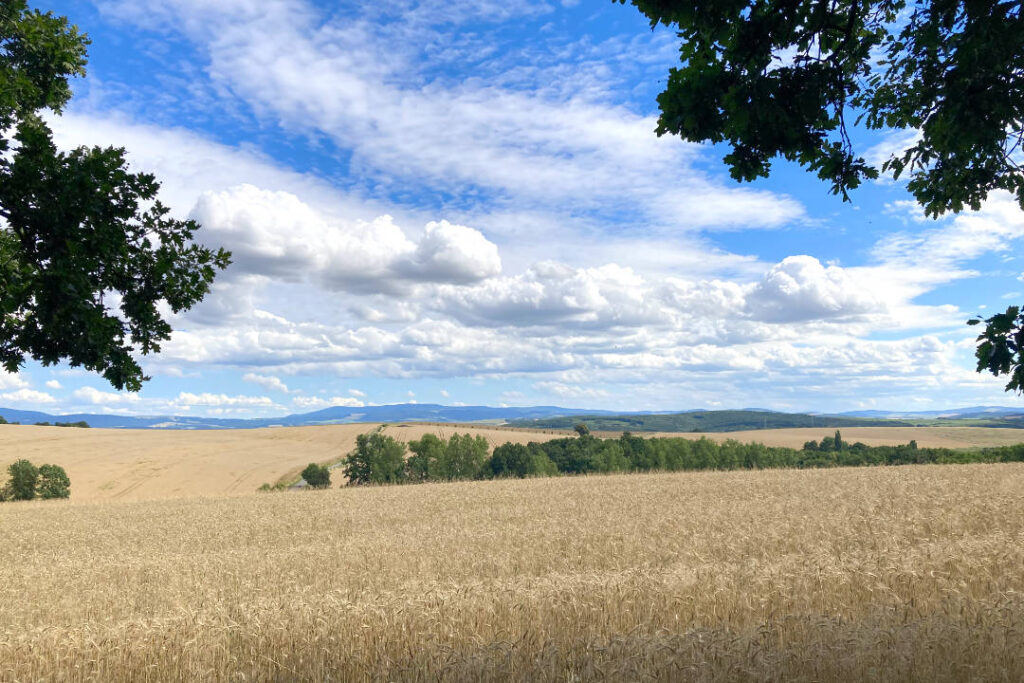 Výhled na Bílé Karpaty, Velká Javořina