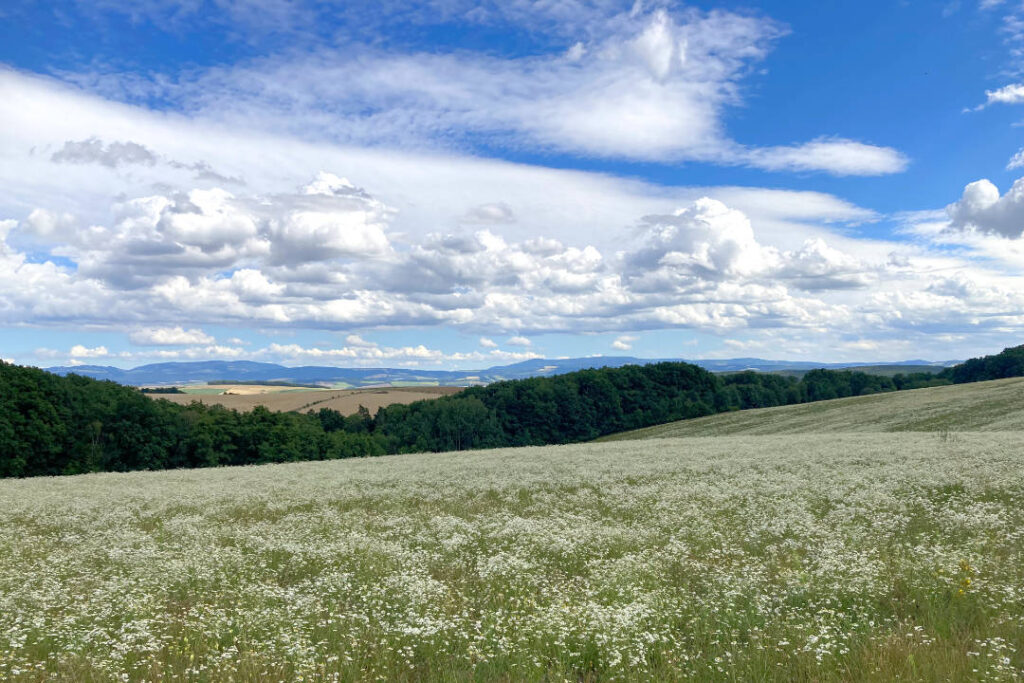 Cyrilometodějská stezka, Bílé Karpaty
