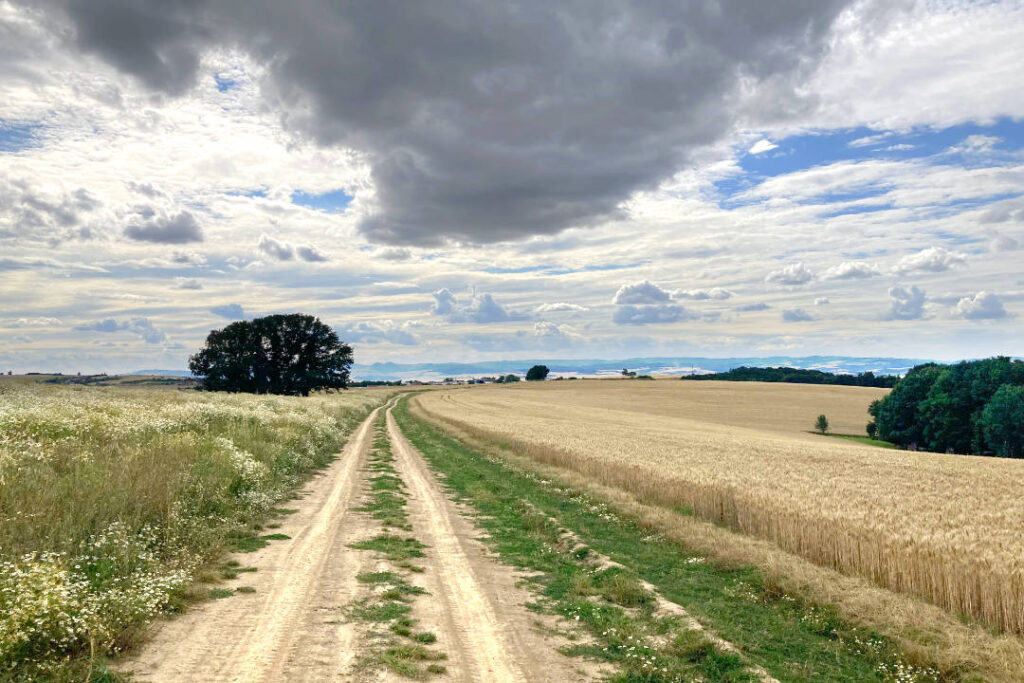 Mistřice