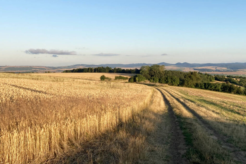 Buchlov, Chřiby, výhled z Rovniny