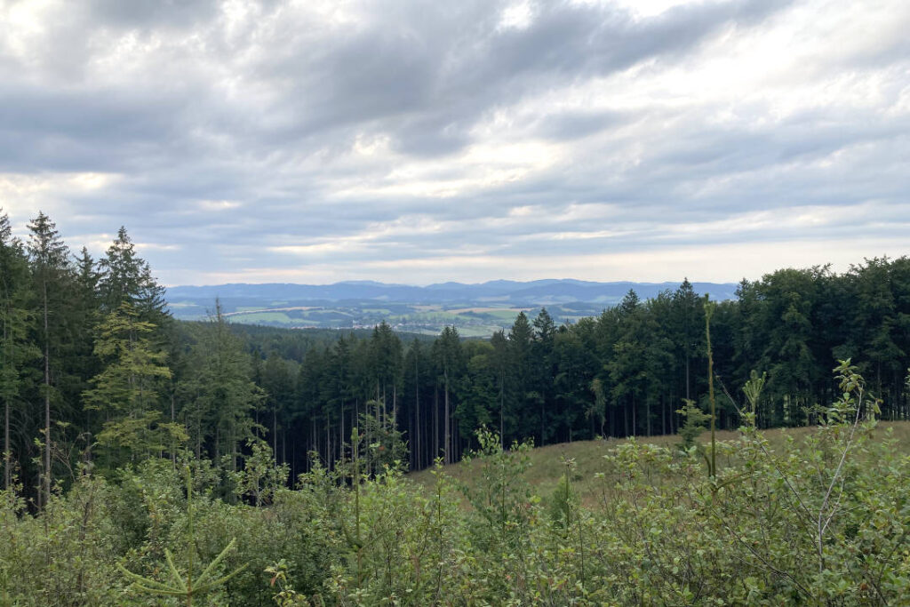 Vizovické vrchy, výhled na Bílé Karpaty