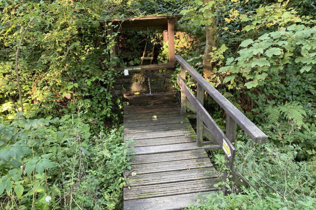 Studánka, pramen pod Krátkou