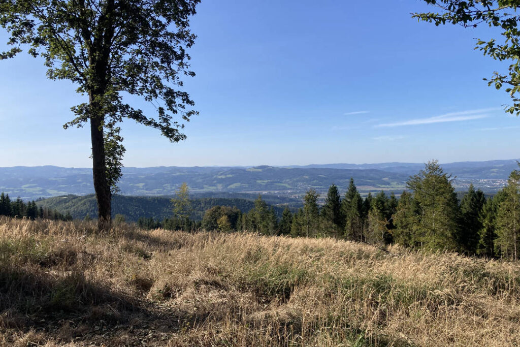 Vsetínské Beskydy, Vsetínské vrchy, výhled z Veřovických vrchů