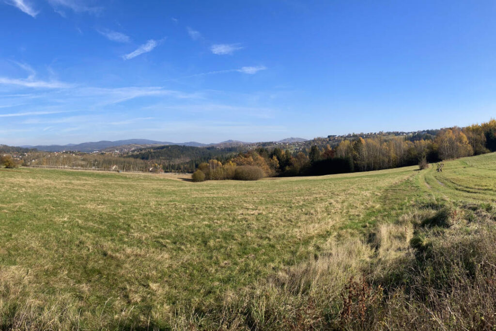 Bukovec, pastviny, Jaworzynka