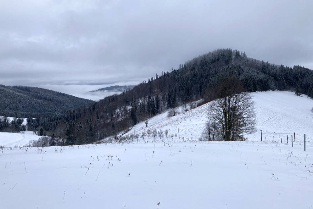 Javorníky, zimní krajina, Karpaty