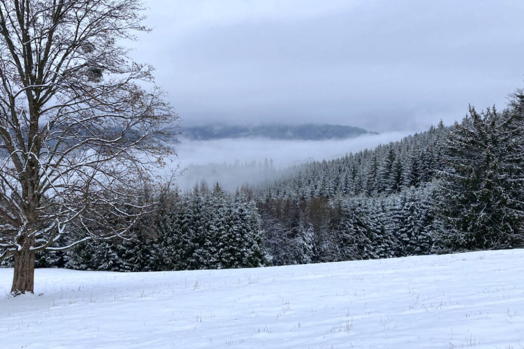 Zima, sníh, Javorníky, krajina, Nový Hrozenkov