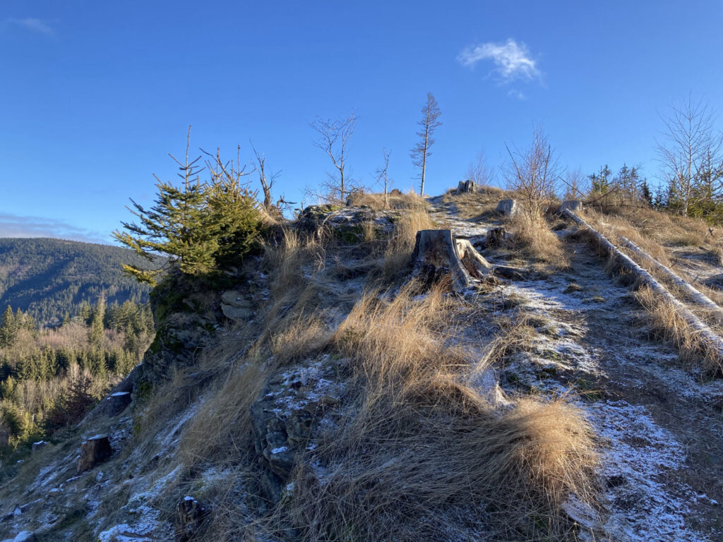 Červenec, pod vrcholem, Beskydy