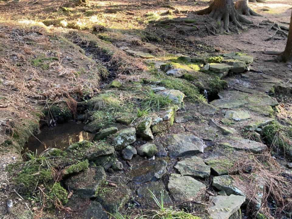 Studánka U Fojtova Korýtka, Beskydy, Horní Bečva