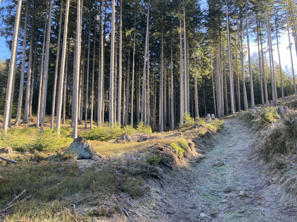 Cesta na Červenec, Beskydy