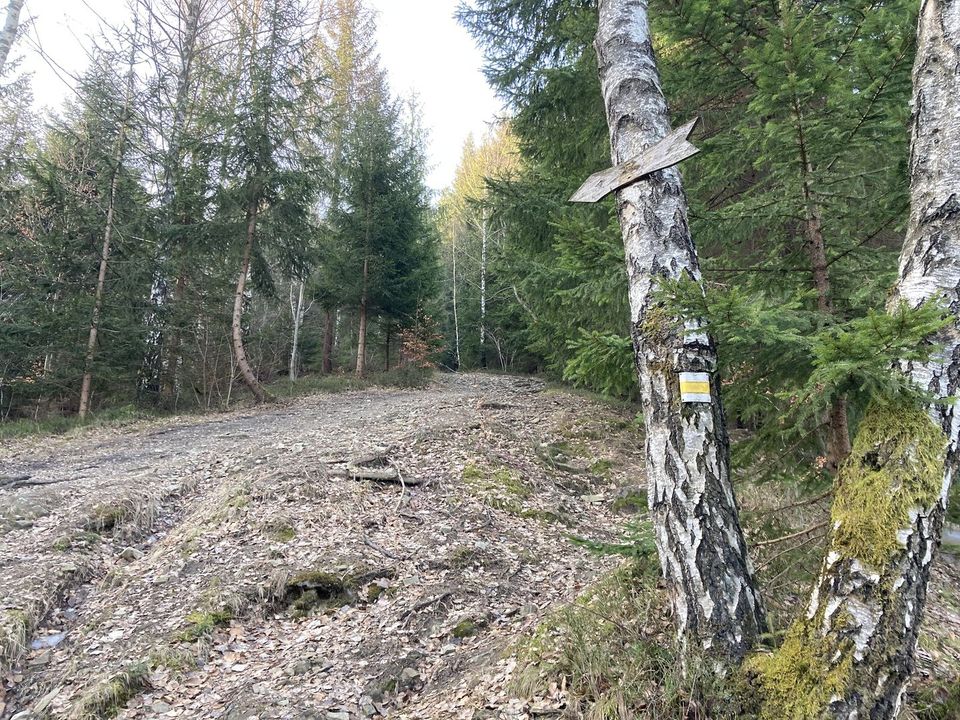 Odbočka do lesa, Přelač