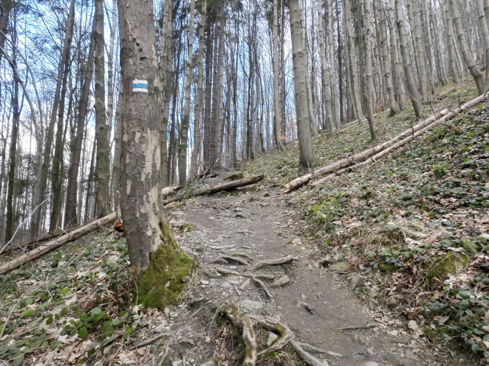 Z Veřovic na Velký Javorník