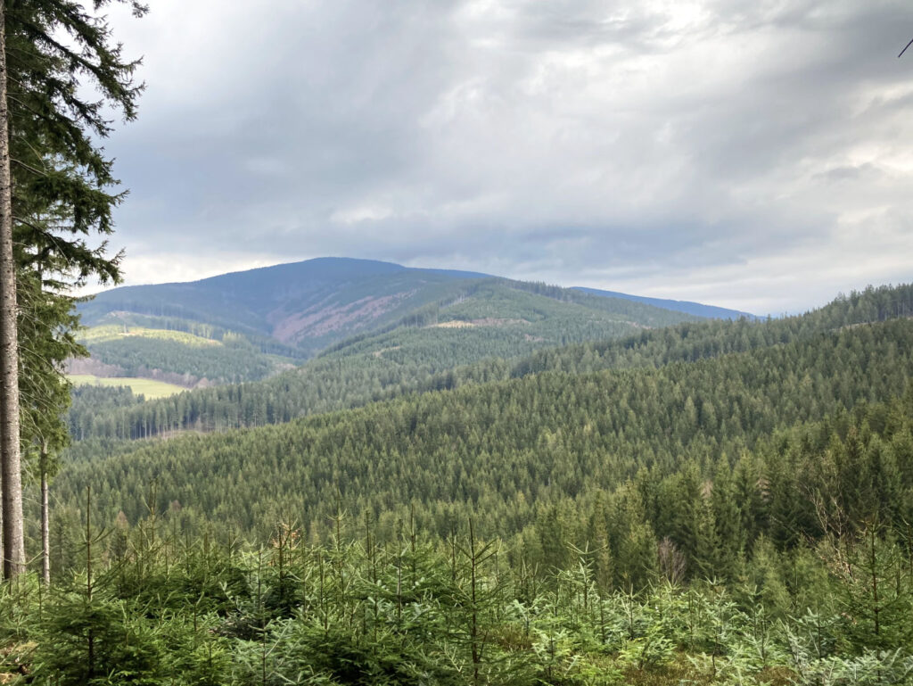 Výhled na Smrk z pod Samorostlého, Beskydy