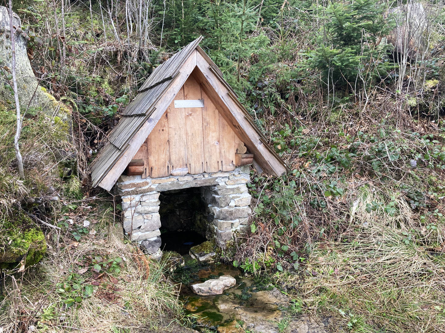 Studánka pod Osikovou, Beskydy
