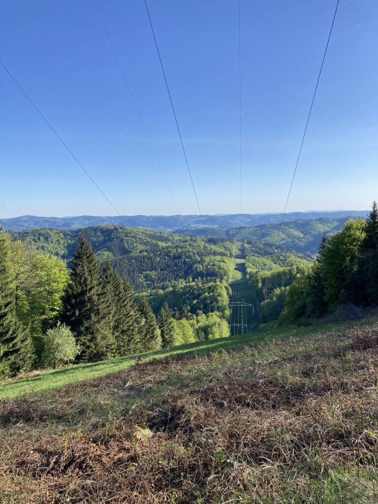 Lušovka, výhled na Javorníky