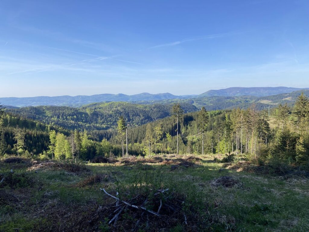 Lušovka, vyhlídka na Beskydy